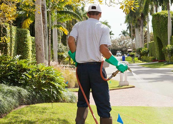 About Johnson NY Pest Control Pros